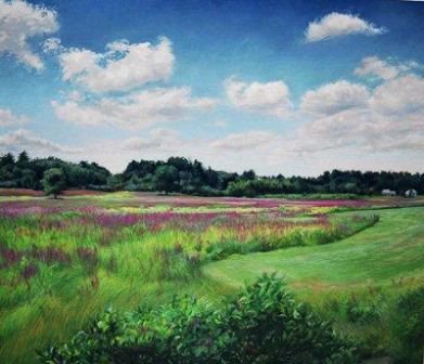 assabet loosestrife 4.jpg