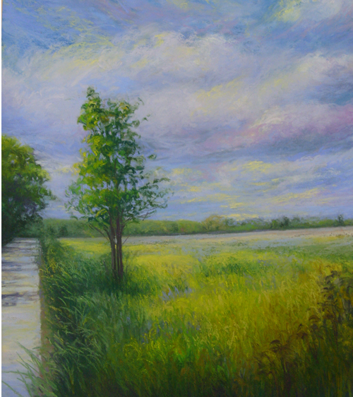 blueandyellowwilliamsstcrop_edited-1