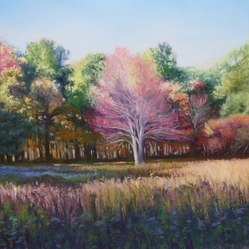 ByLightTransformedpastel