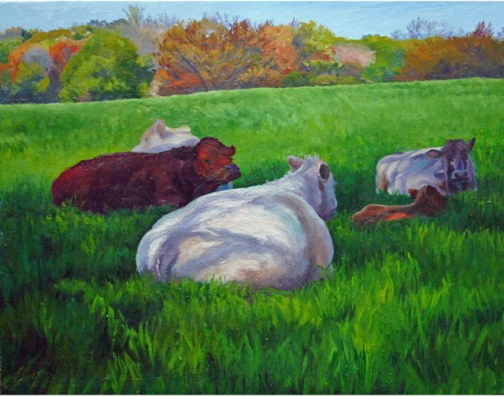 finaltuftscows1300ppi